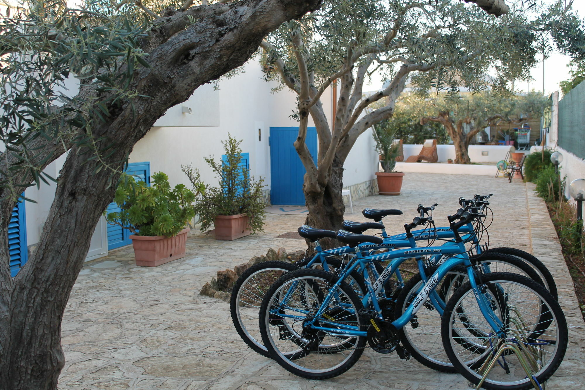 Signorino Eco Resort & Spa Μαρσάλα Εξωτερικό φωτογραφία